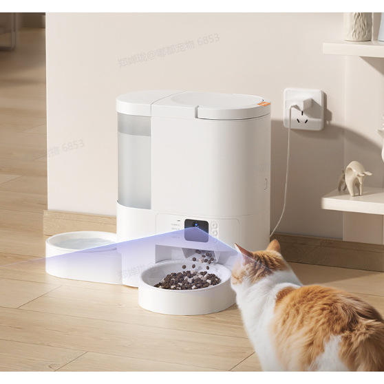 เวอร์ชันวิดีโอ