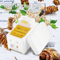Mini Queen Mating Nuc Box pour l'apiculture Nouvel équipement de ruche d'élevage à usage agricole avec garantie d'un an