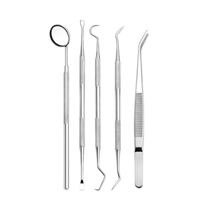 AJL 2026 Kit Professionale per Igiene Dentale in Acciaio Inossidabile, 5 Pezzi, con 5 Strumenti Dentali - Product Image 2