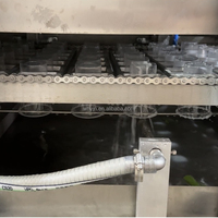 Nouvellement développé avec la fonction de lavage de tasse Machine de remplissage et de scellage de tasse d'eau minérale Machine de remplissage de tasse de glaçon