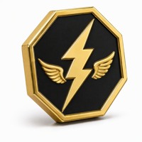 Pièce commémorative Éclair Ailé Doré pour les événements majeurs des services publics électriques, les ingénieurs électrotechniques, les clubs d'aviation et les cadeaux