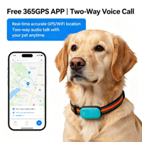 Localisateur GPS intelligent portable pour chien et chat, anti-perte, étanche IPX67, positionnement précis et suivi de localisation en temps réel