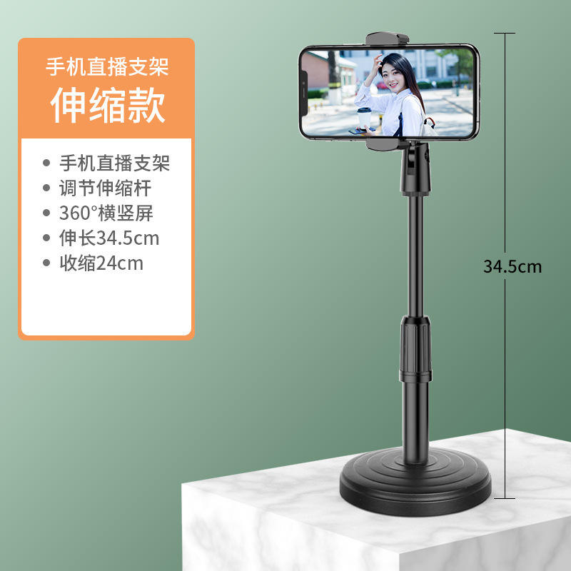 Single Camera Mount with Adjustable Arm