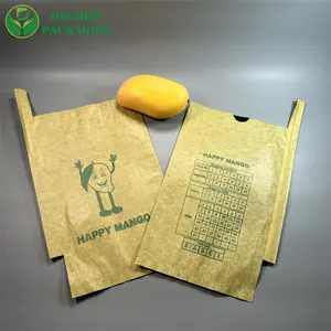 Copertura della frutta Banana Mango sacchetto di carta protezione agricoltura termosaldatura carta patinata a cera CMYK cartoni o sacchetto tessuto stampa flessografica