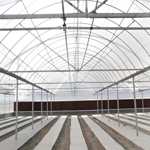 Invernaderos Multi-span, Plantas de Polinización, Protección Adecuada para el Cultivo de Tomates de Alta Gama. - Product Image 4