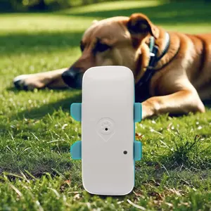 2024 nuevo localizador de collar GPS 4G inteligente usable GPS mascota impermeable anti pérdida rastreador antirrobo