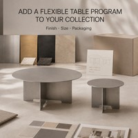 Ensemble de tables basses gigognes KINNO en acier inoxydable 304, rondes 800mm et 480mm, finition sablée, pour salon moderne, OEM ODM