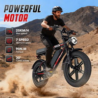 Vélo électrique HiQiS C200 Pro avec pneus larges, faible MOQ, vente en gros, stock entrepôt UE/US, double batterie 35Ah 48V, longue autonomie