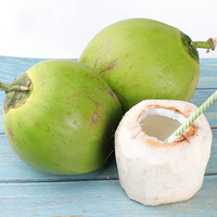 Coupe de noix de coco verte couteau ouvert magasin de fruits Portable manuel ouvre-trou de noix de coco coquille noix de coco hols ouverture perceuse