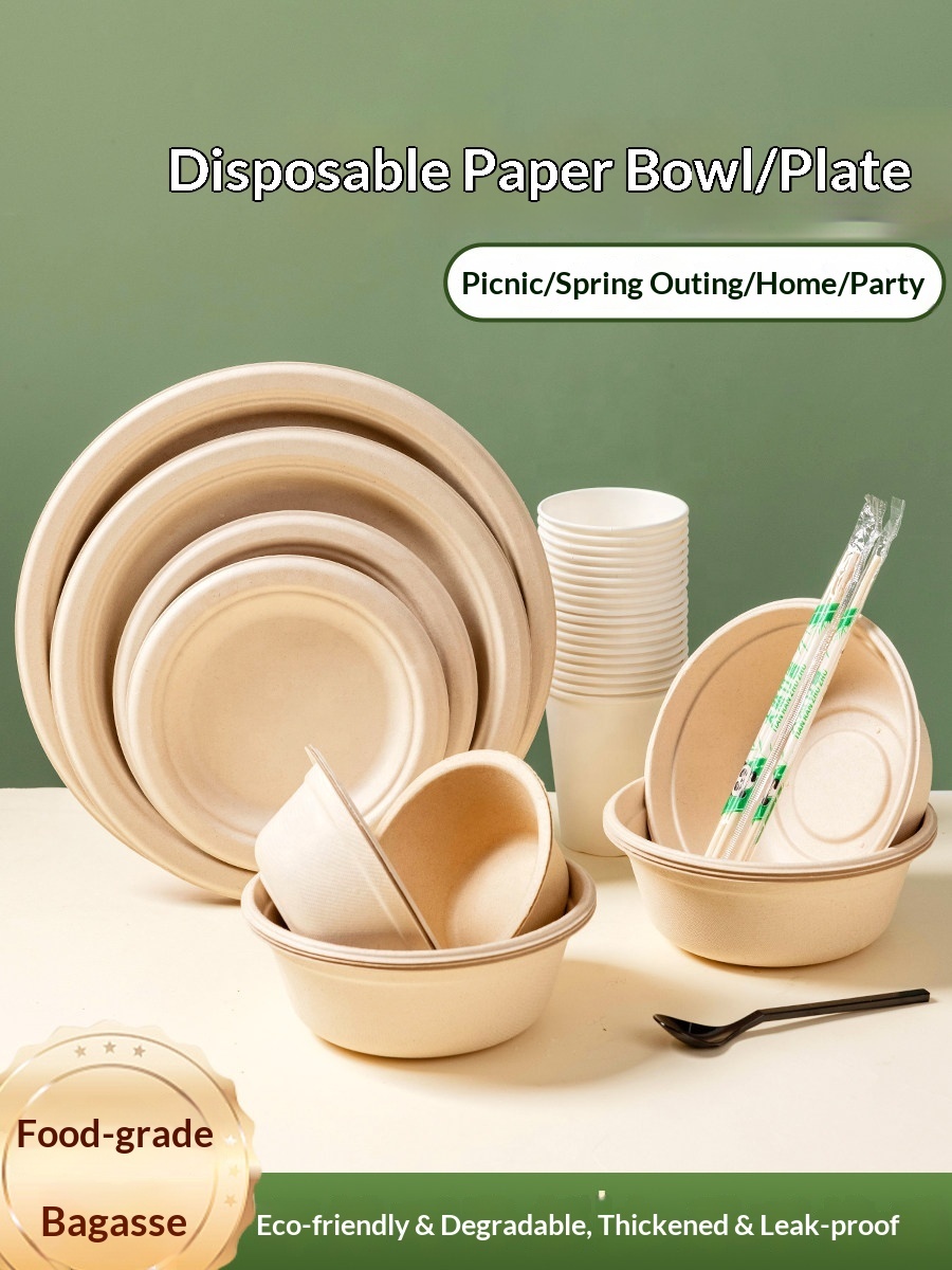Disposable Food Grade Sugarcane Paper Round Bowl Chopsticks Plate Set for Picnic Camping Bento Use From Bagasse Pulp