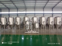 Système de brasserie artisanale en acier inoxydable 1000L, cuve de fermentation, équipement de brassage à contrôle automatique pour usage en restaurant, facile à utiliser