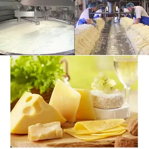 Máquina automática comercial para hacer queso/Venta caliente 500L Tanque para hacer queso para máquinas de procesamiento de lácteos Queso
