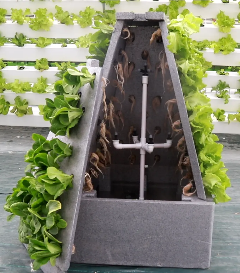 New Vertical model pyramid aeroponics system for growing vegetables