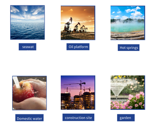 Pompes à eau submersibles centrifuges multi-étages <span class=keywords><strong>Aquavita</strong></span> en acier inoxydable 304 pour puits profonds, alimentation électrique/solaire, haute performance - Product Image 5