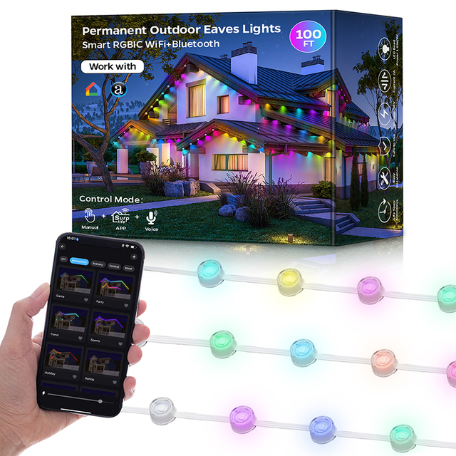 Twinklight Decorative Waterproof 36V LED RGB Smart Permanent Holiday Lights Outdoor Pixel String LED Point Light Source
