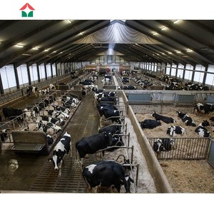 Capannone Agricolo con Struttura a Gable in Acciaio Leggero Prefabbricato per Allevamento Bovino con Facile Costruzione - Product Image 6