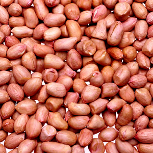 Nuevas Cacahuates Supremas de Cosecha Reciente, Cacahuates Indios Supremos, Exportación de Granos de Cacahuete Supremos, Nuevas Cacahuates Supremas de Cosecha Reciente - Product Image 1
