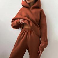 Ensemble de survêtement pour femmes, sweat-shirt à capuche + pantalon, deux pièces, décontracté, en polaire, manches longues, pantalon, automne-hiver, couleur unie