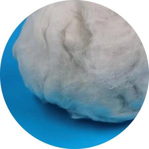 Fibre di Canapa Naturali 3.2D*32MM Adatte per Applicazioni Tecniche e Tessili per Forniture Sanitarie e Materiale da Letto - Product Image 2