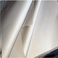 Papier journal biodégradable standard 45 48,8 52 g/m² en bobines/rameaux, recyclable, compatible impression offset