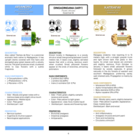 Huiles essentielles végétales naturelles, graines |   Shampooing et Gel Douche Parfumés à l'Aromathérapie Purement Pressés à Froid |   Peau 100% pure