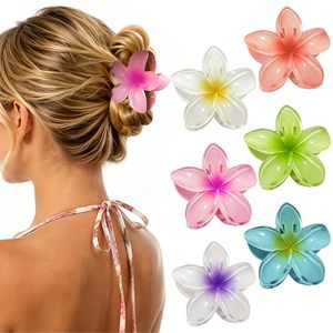 Barrettes à cheveux en plastique florales pour femmes, motif fleur de frangipanier hawaïenne, pour l'été et les fêtes, vente en gros, en carton - Product Image 1