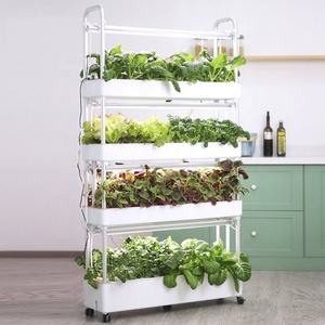 Mini Invernadero Inteligente con Luz LED para el Hogar, Sistema Hidropónico para Cultivo de Hierbas y Vegetales, Kit de Cultivo Hidropónico Interior - Product Image 6