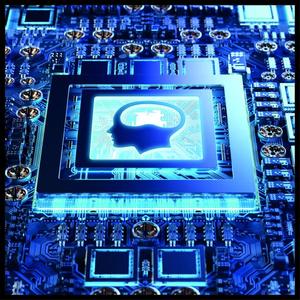 TERRY - 1002205 Armoire absorbant les chocs en résine 2 portes 89,7x53,7x180 - 4 étagères intérieures réglables-1 support de balai CABINETS - Product Image 2