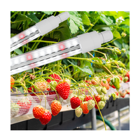 Barre lumineuse LED T8 à spectre complet IP65 personnalisée pour culture verticale en serre (fraises, tomates) (OEM/ODM disponible)