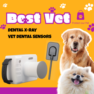 Équipement portable de radiologie buccale vétérinaire, système DR dentaire pour animaux, dentisterie vétérinaire - Product Image 6