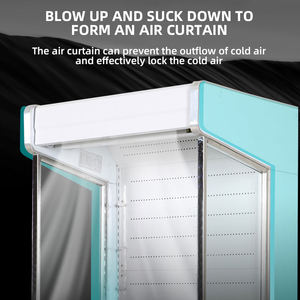 Compresor remoto de vitrina de cortina de aire vertical de frutas <span class=keywords><strong>y</strong></span> verduras con puerta de vidrio 3 METROS compresor exterior - Product Image 6