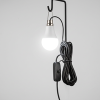 Ampoule LED DC5V pour usage extérieur avec câble de 2,8 m, prise DC5521, interrupteur marche/arrêt, crochet métallique pour un accrochage facile, CRI 80, 3000K/6500K, A19