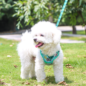 Venta al por mayor de lujo ajustable reflectante de seguridad transpirable <span class=keywords><strong>Sexy</strong></span> diseñador paso en mascota chaleco perro arnés y correa conjunto - Product Image 5