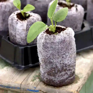 Eco2go Vietnam Coco Peat Pellets-Eco-Friendly Planting & Garden Use - Product Image 4