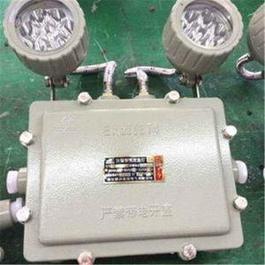 Luz de Señalización de Salida LED Verde de Plástico con 3 Horas de Emergencia, Control por Interruptor y Autodiagnóstico - Product Image 3