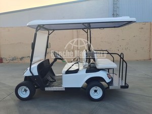 Voiturette de golf mini 2 places avec rideau de pluie intégré - Product Image 3