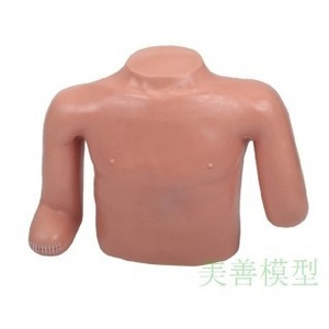 Modèle de bandage de haut niveau pour l'enseignement forensique de la technique de pansement des plaies chez les amputés de la poitrine et des membres supérieurs. Livraison gratuite. - Product Image 3