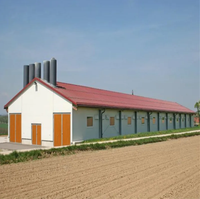 Poulailler préfabriqué moderne avec murs isolés et ventilation du toit, idéal pour l'élevage avicole commercial