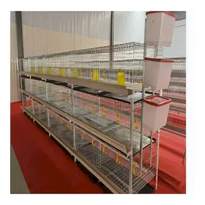 Automatic farming broiler cage poultry breeding cage H type cage