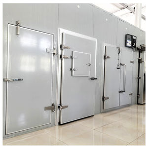 Kunden spezifische begehbare Gefriert ür für Kühlraum - Product Image 1