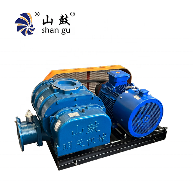 Roots Blowers, Chinese Brand, Can Directly Replace Gardner Denver, Robuschi, and Jurop Blower Solutions for Wastewater Treatment