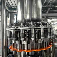 2025 Nieuwe Volautomatische Wijnbier Mineraal Puur Drinkwater Plant Fles Vulmachine 3000-5000 Flessen/Uur Multi-Voltage