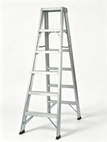 Échelle à marches en aluminium certifiée EN131, échelle pliante pour la maison avec plateau supérieur pour outils, échelle de travail portable pour l'intérieur