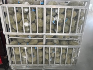 Nitơ lỏng nhanh chóng đóng băng tủ cho chế biến cá, pho mát, trái cây và thịt iqf nhanh chóng đóng băng - Product Image 5