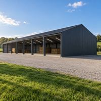 Structure en acier facile à installer, entrepôt, grange, atelier métallique à faible entretien, garage, abri, bâtiment agricole