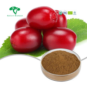 Extrait de plante d'herbe chinoise approvisionnement en gros poudre de Cornus Officinalis pure - Product Image 1