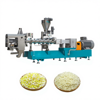 Machine à fabriquer des pâtes à frire Panko, extrudeuse de miettes de pain soufflé pour la production de miettes fines et grossières et le marché d'exportation