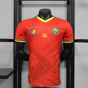 Kamerun Trikot Spielerversion Heim Auswärts Afrikanische Nationalmannschaft Grenzüberschreitende Vertriebsversion Fußballtrikot Kurzarm Polyester - Product Image 4