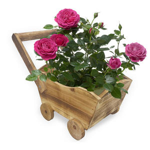 Chariots à fleurs <span class=keywords><strong>en</strong></span> bois au design moderne, train de dessin animé <span class=keywords><strong>pour</strong></span> jardins intérieurs et extérieurs, patios et terrasses, <span class=keywords><strong>pour</strong></span> utilisation au sol - Product Image 4