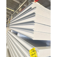 100mm isolé métal PIR mur PU panneau de toit panneaux de chambre froide pour entrepôt et atelier Poliuretan polyuréthane panneau sandwich